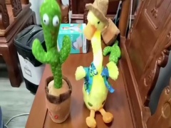 DANCING CACTUS,W/LIGHT,MUSIC,RECORDING,4 ASST  toys