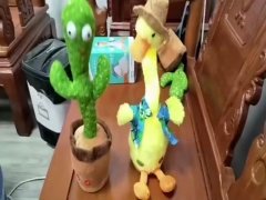 DANCING CACTUS,W/LIGHT,MUSIC,RECORDING,4 ASST  toys