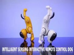  2.4G  SMART R/C DOG （WHITE, YELLOW） toys