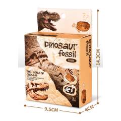 DINOSAUR FOSSIL SET toys