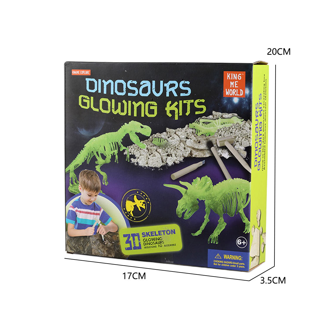 ANIMAL SET  W/LUMINOUS  5 ASST toys