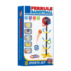 2-IN-1 SPORTS SET toys