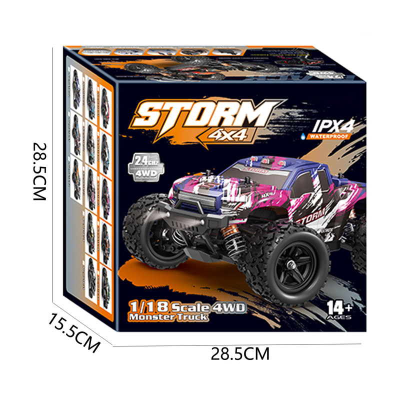 1:18 R/C SPEED CAR toys